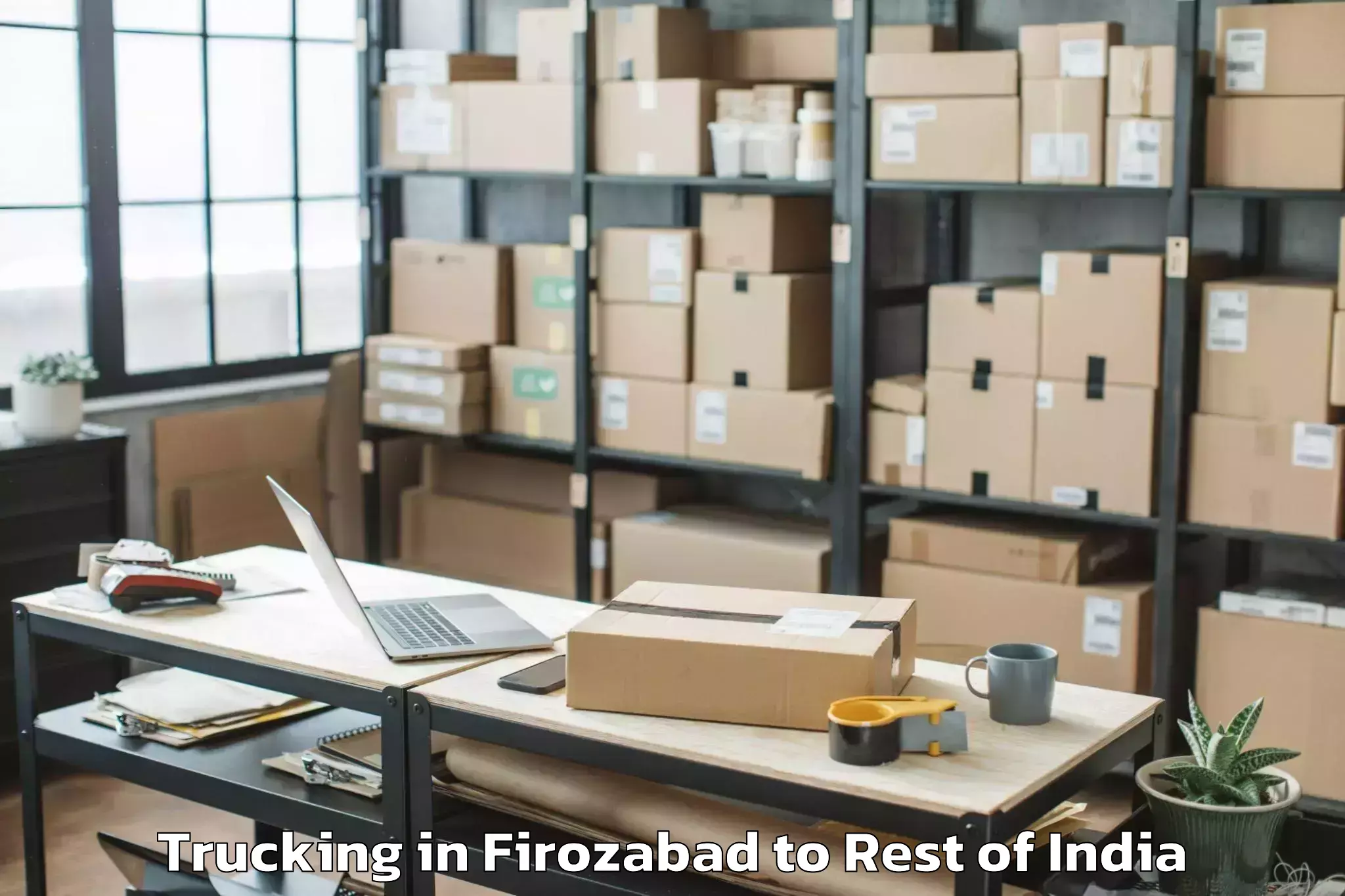 Easy Firozabad to Abishekapatti Trucking Booking